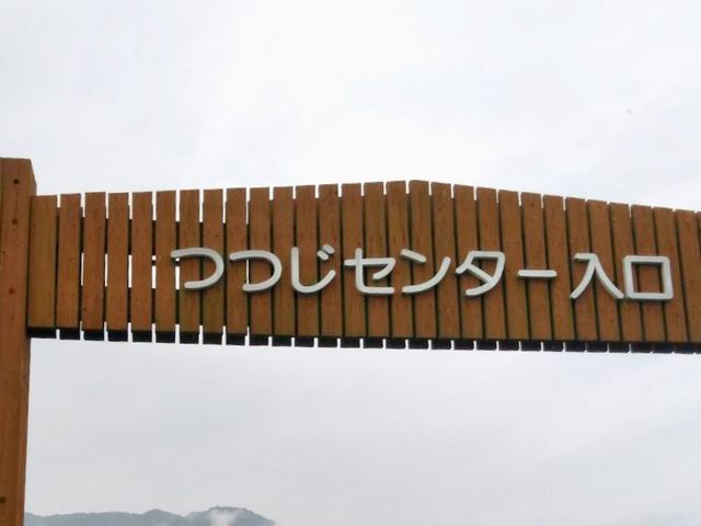 つつじセンター_久留米市世界つつじセンター
