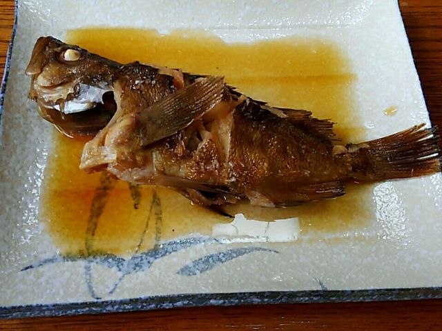 ガヤの煮付。市場には出回りが少ない魚らしいです。_佐藤食堂