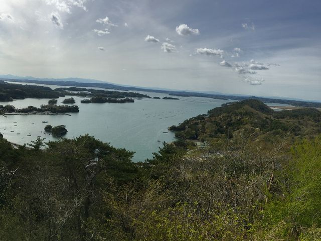 綺麗でした_松島四大観