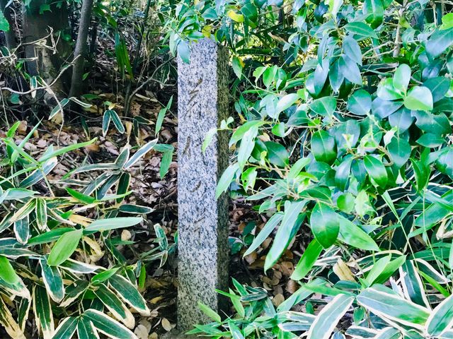 【六義園 藤代峠】階段の途中の石柱_六義園 藤代峠