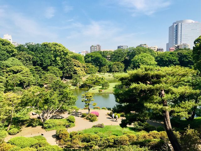 【六義園 藤代峠】峠からの5月の眺め_六義園 藤代峠
