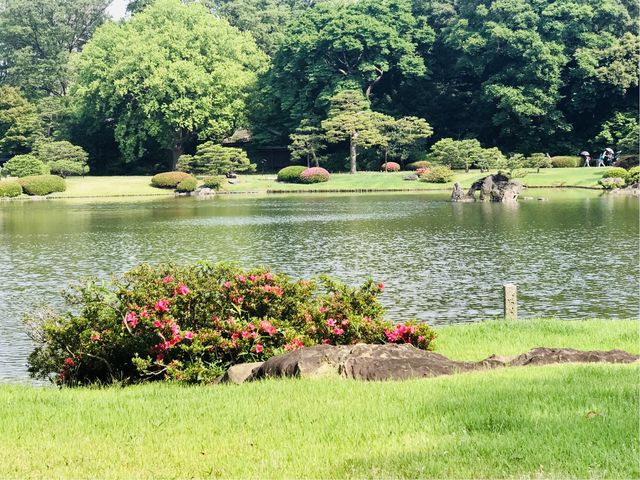 【六義園 吹上茶屋】テラス席からの眺め_六義園 吹上茶屋