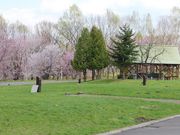 たかちゃんさんのひがしかぐら 森林公園 オートキャンプ場 フローレの投稿写真2