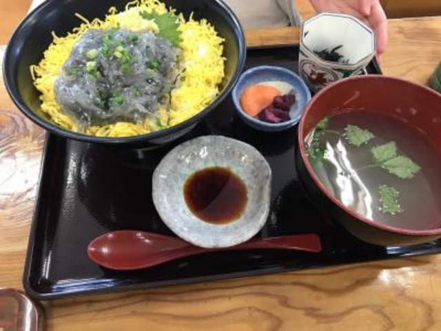 生シラス丼_大洗浜っ子食堂お魚天国