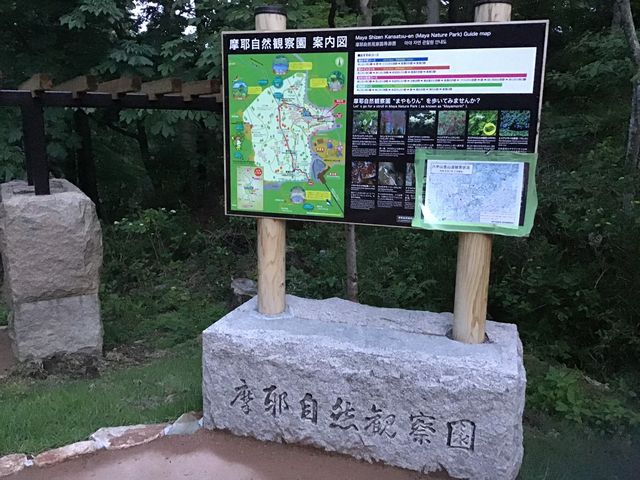 摩耶自然観察園_摩耶自然観察園