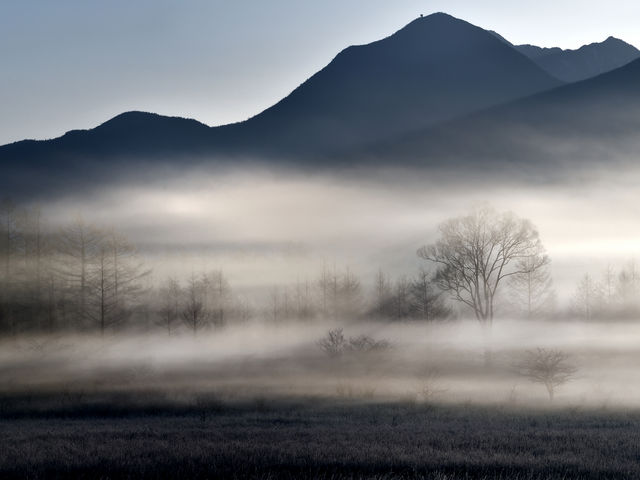 ponさんの小田代ガ原の投稿写真1