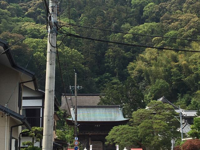 住宅地の中にあるのが不思議で思わず写真を撮ってしまいました_臨済寺