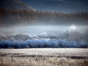 ponさんの小田代ガ原の投稿写真1