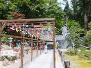 こぼらさんの法多山尊永寺の投稿写真1