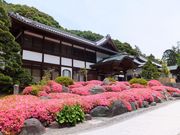 こぼらさんの法多山尊永寺の投稿写真1