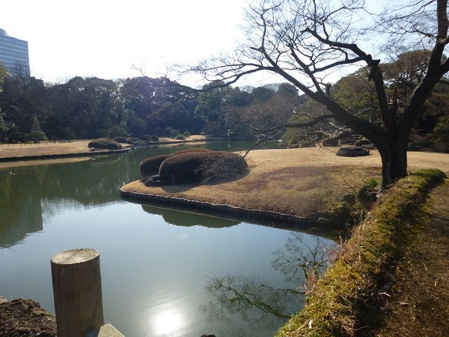 橋は渡れません_六義園 中の島