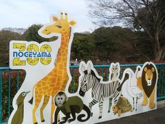 野毛山動物園の写真1