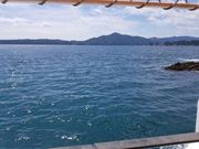 青と緑さんの月山の投稿写真1