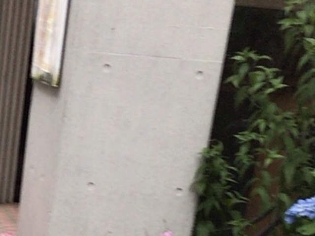くい亭_くい亭