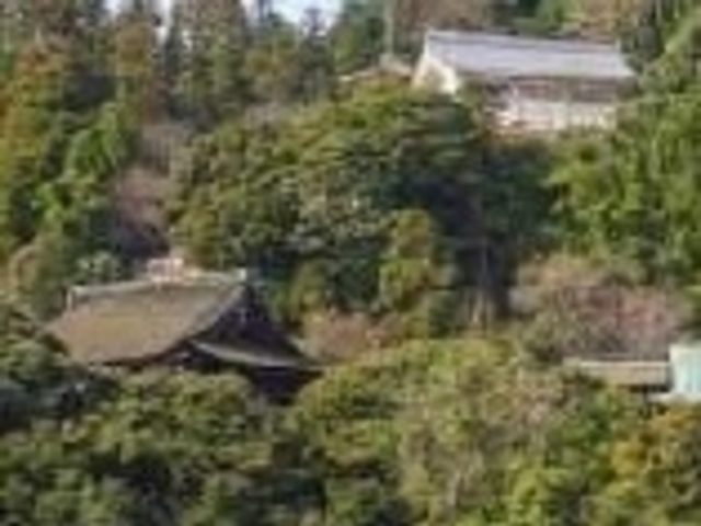 竹生島_竹生島