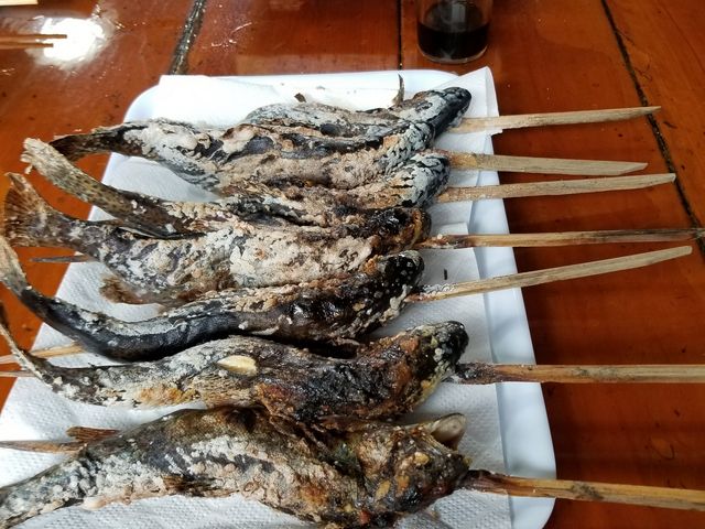 虹鱒がメインの釣り堀です。釣らなくても虹鱒・岩魚の塩焼きや刺身も注文ができます。癖がなく美味しいです_古戸中養魚場