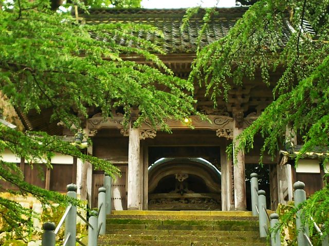 山門より中は撮影禁止です。_大乗寺(応挙寺)