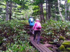 トムソーヤさんの知床未知案内への投稿写真2