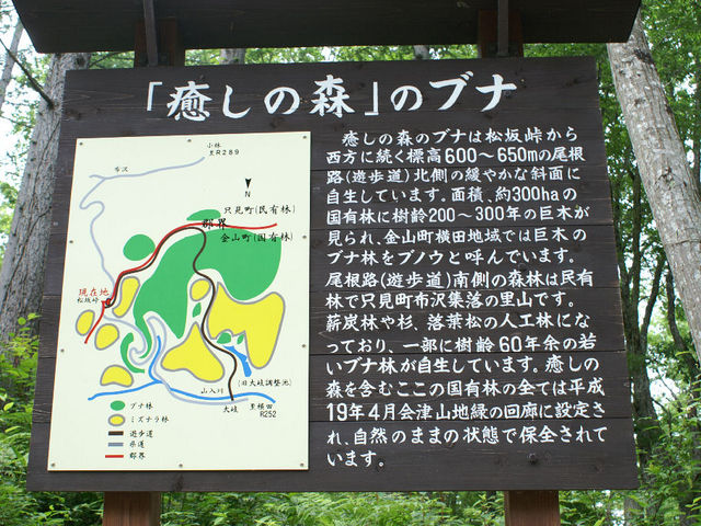 案内図_癒しの森