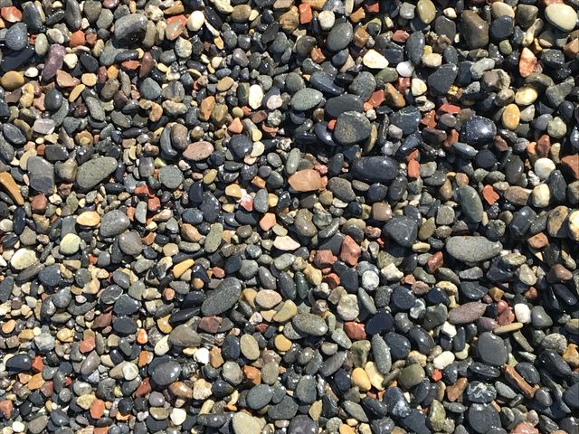 水着も汚れなくて帰りがラクな玉砂利です_川奈いるか浜公園