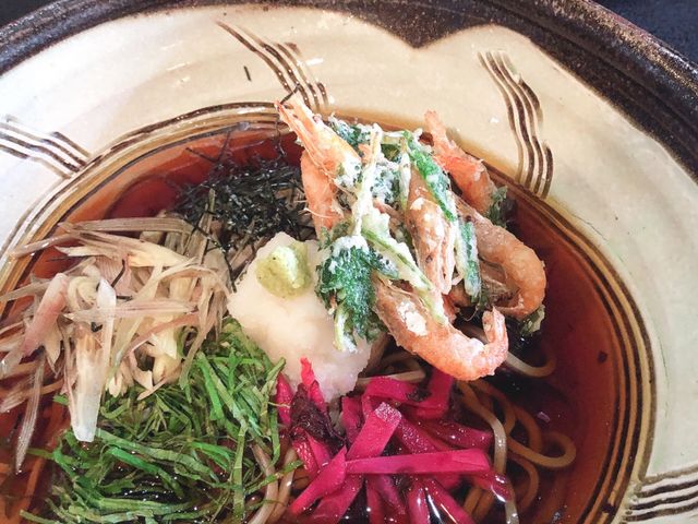 冷やしおろし蕎麦_蕎麦道楽百古里庵(そばどうらく すがりあん)