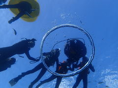 マユさんのB-natureへの投稿写真1