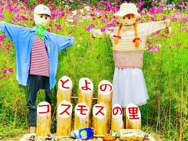 かわいいカカシがお出迎えしてくれます。_とよのコスモスの里