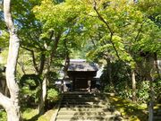 ニコちゃんさんの居士林(円覚寺)の投稿写真1