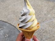 ゆうきさんのつくみマルシェの投稿写真1