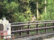 ヌケてるライダーさんの暮坂峠の投稿写真1