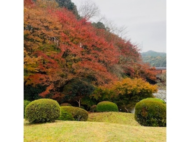慧洲園_陽光美術館・慧洲園