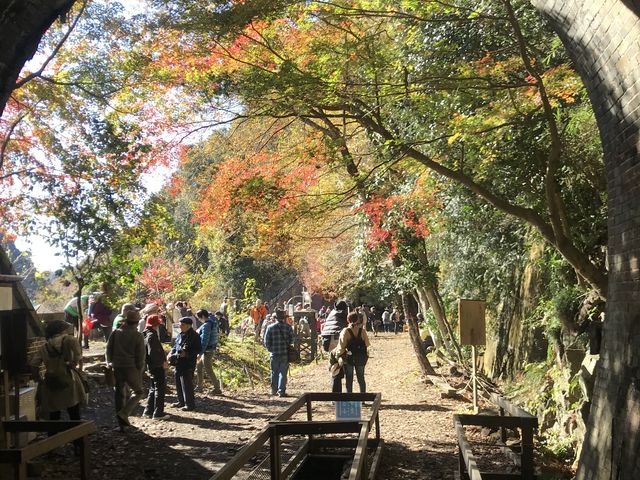トンネルから_愛岐トンネル群