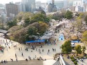 みきちんさんの亥鼻公園の投稿写真1