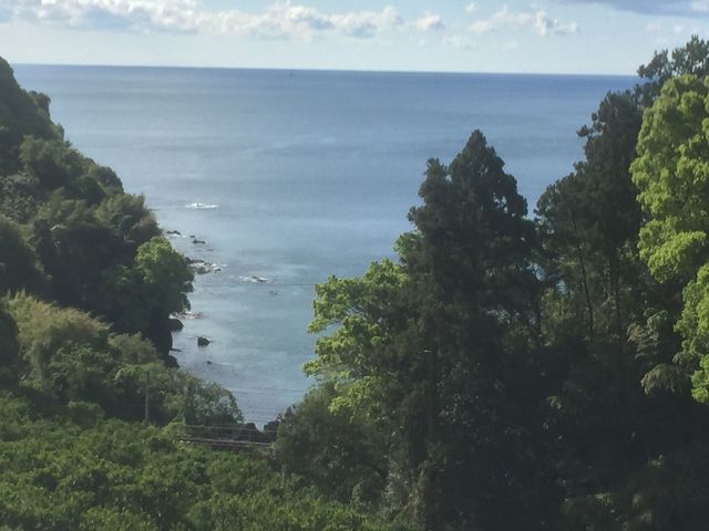 とうたんさんの須崎湾の投稿写真1