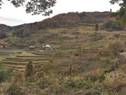 sklfhさんの上山の棚田(上山千枚田)の投稿写真1