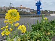 ななさんの館山リゾートホテルの投稿写真2