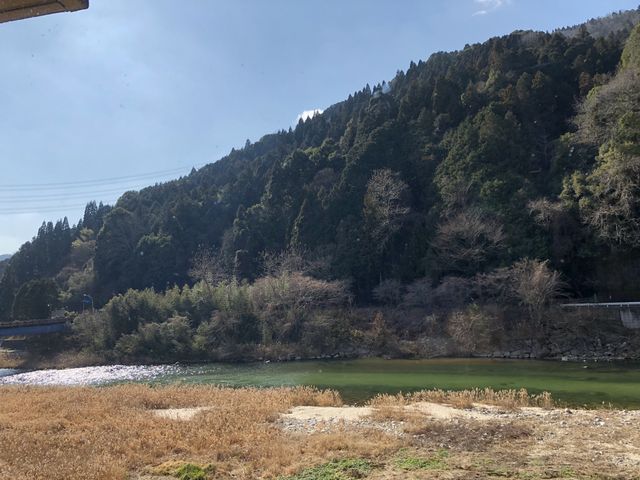 旅館からの景色_旬樹庵 紫翠閣とうふや