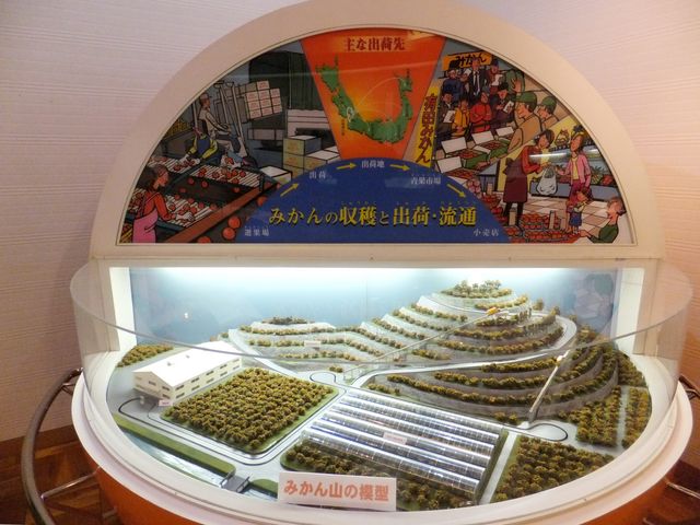 丘陵地に広がるみかん畑の模型_有田市郷土資料館・みかん資料館