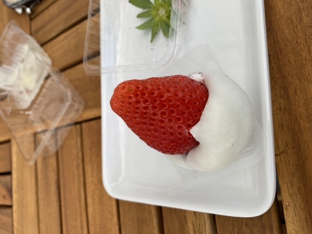 いちご大福、、いちごが大きすぎ(*^^*)_苺屋たくみ(ICHIGOYA TAKUMI)
