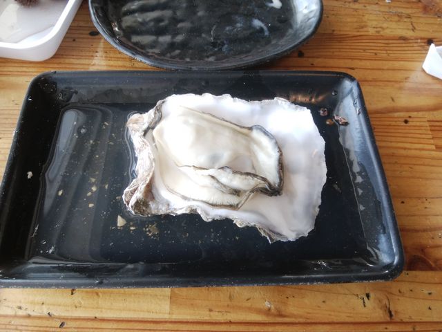 その大きさに驚きの厚岸の牡蠣です。_炭焼き 炙屋