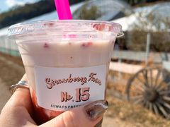 まみさんさんのStrawberry Farm No.15 (the Farm UNIVERSAL いちご園)への投稿写真1