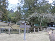 やんまあさんの東大寺不動堂の投稿写真1