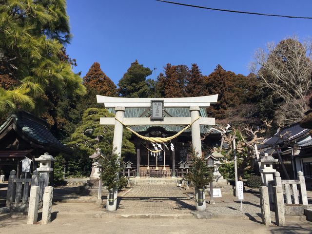 みぃさんの相馬小高神社の投稿写真1