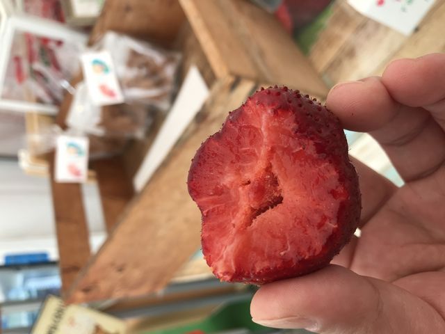 食べ放題の苺とは、栽培管理が全く別なのだそうです。
私の人生1番の苺さんデス。_ちあきのいちご園