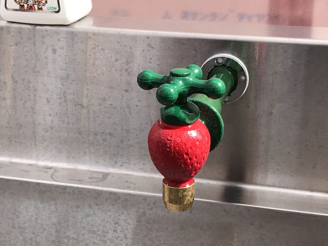 蛇口がイチゴで可愛かった。_JAL Agriport