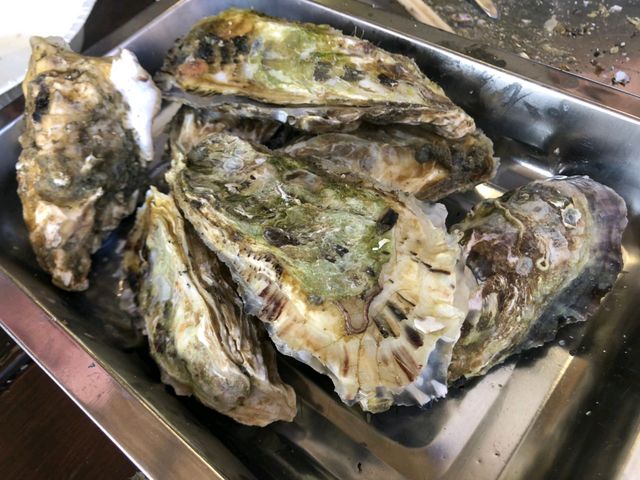 食べ放題_マルナカ水産マルマ本店