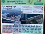 とくちゃんさんのラベンダービーチの投稿写真1