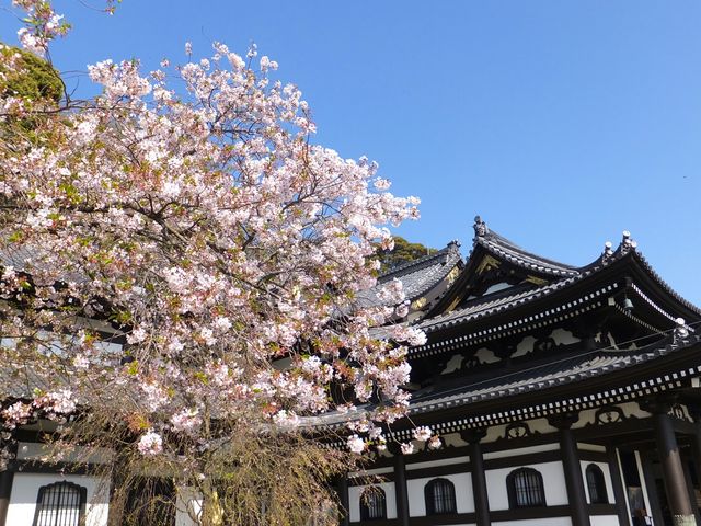 長谷寺 観音堂