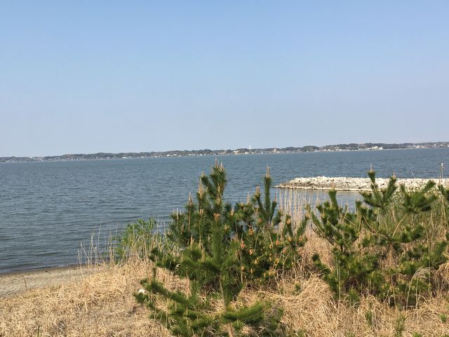 対岸も見えます_水郷筑波国定公園 浮島園地(和田公園)