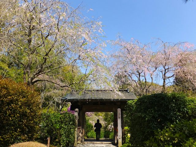 山門(明月院)